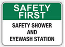 SAFETY SHOWER AND EYEWASH STATION