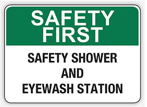 SAFETY SHOWER AND EYEWASH STATION